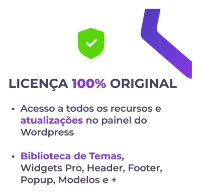 Elementor pró atualizado - Plugin oficial - Imagem 2